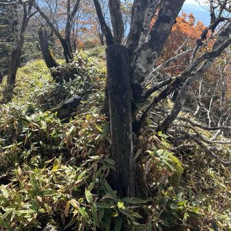 山頂の標跡