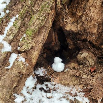 ビーグルっちさん作