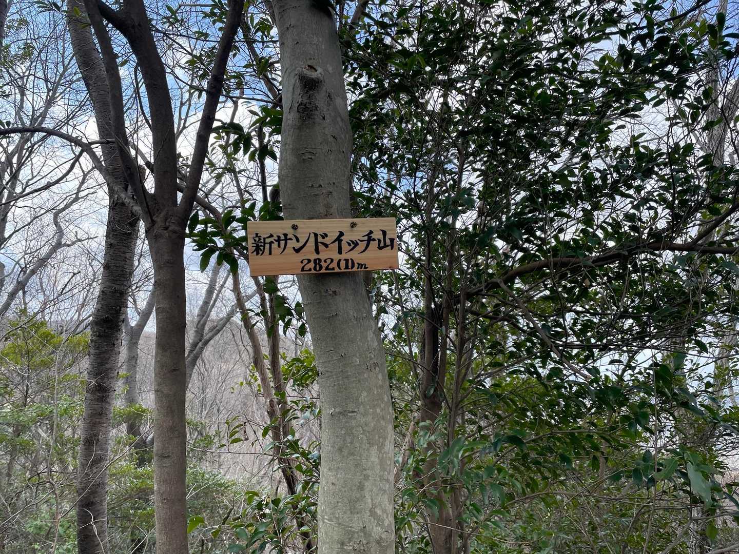 新サンドイッチ山