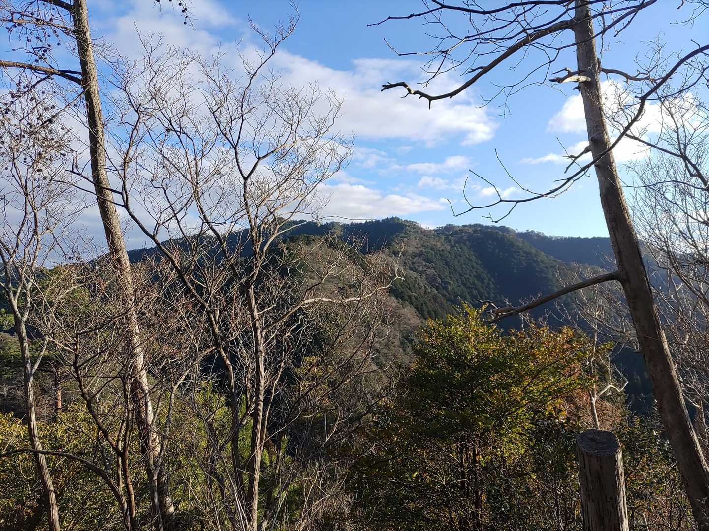 向かい側の山々