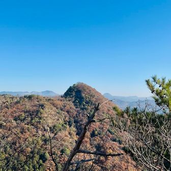 富士山と反対側に目をやると、これから目指す三床山が鎮座しています。