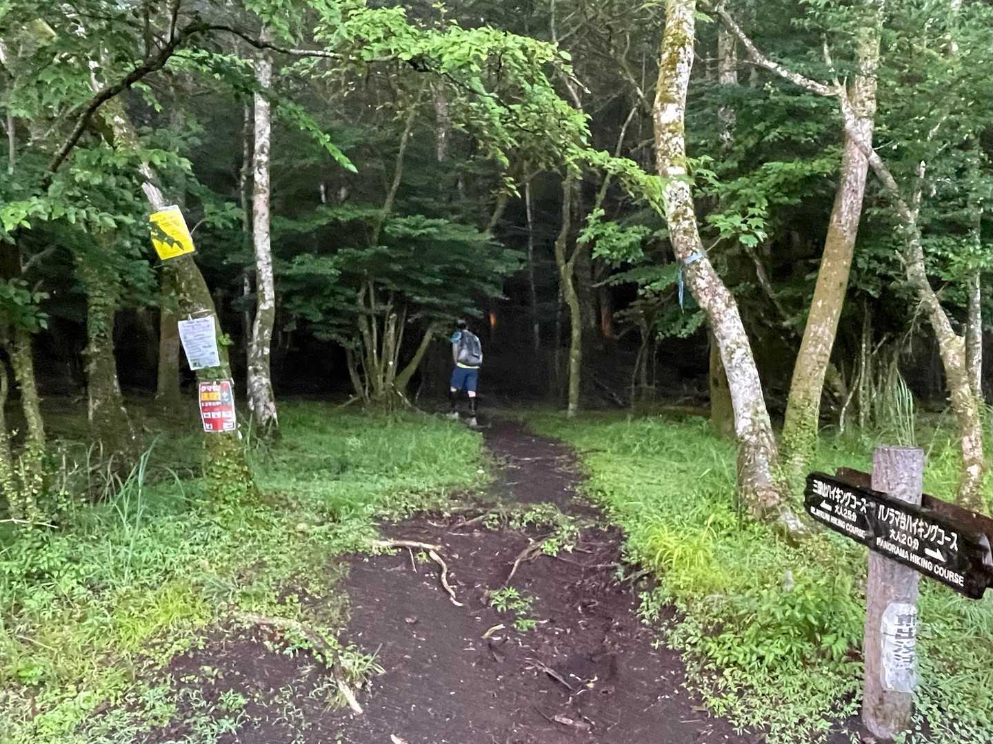 こちらの登山口より登るはいいけど😞💦