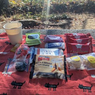 ひと休み😋
うり坊さん🐗と
めーさんから🐑の
沢山の頂き物🥰
美味し❗