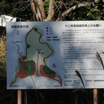 十二所果樹園案内図