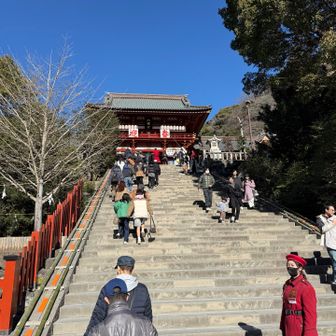 鶴岡八幡宮⛩️
初詣させていただきました。
今年も元気に登山ができますように🙏

思ったより空いていた。
振り袖の人も。今日は成人式だ。

この大石段の脇の大銀杏の下（下から数えて13段め)が3代将軍•源実朝が暗殺された場所。

『鎌倉殿の13人』では、源実朝を柿澤勇人さんが、公暁を寛一郎さんが演じてた。


