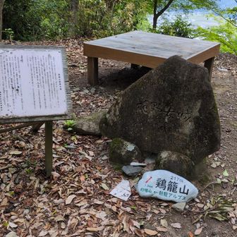 間違いなく、鶏籠山と認識