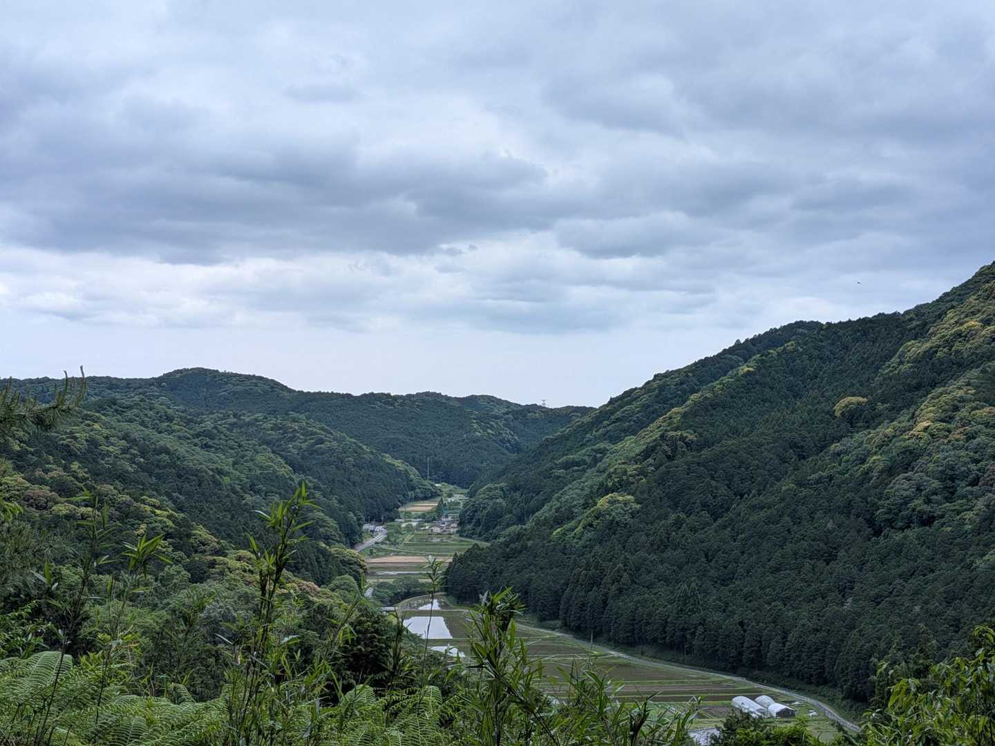 里山らしい景色に癒されました🩷