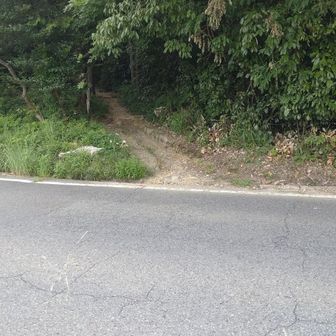 突然車道に出ます。かなりのスピードで走ってます