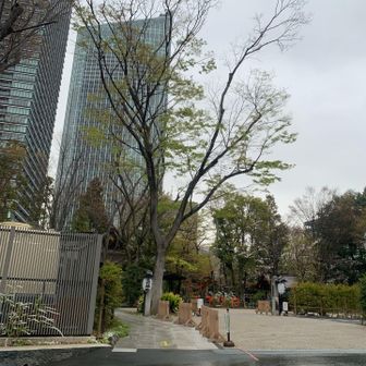 周りは高いビルがすぐ隣に建っている愛宕神社