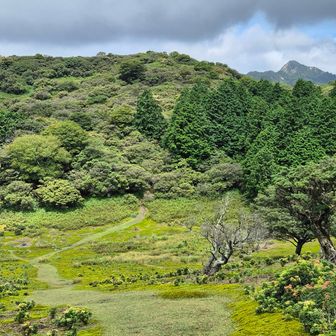 奥宮側から山頂に登る直前に窪地を振り返る
苔と芝の緑が綺麗です😙
背後に鎌ヶ岳が顔出し😃