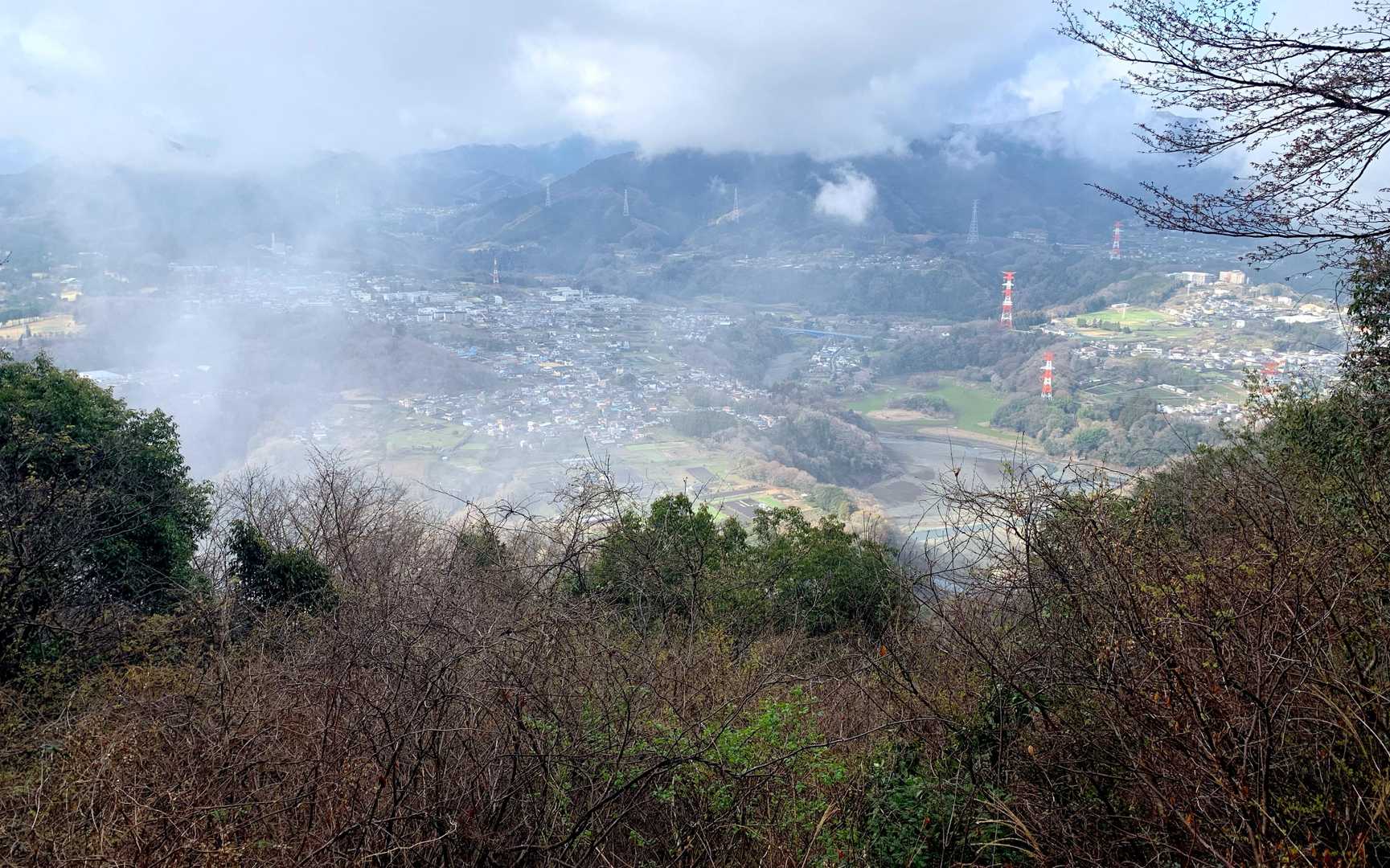 晴れてきた。