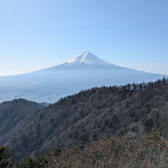 富士山