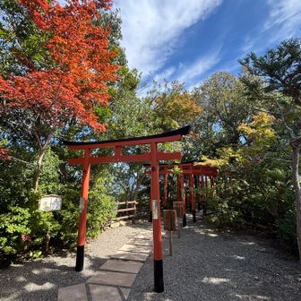 もう少しすれば紅葉も凄いでしょうね🍁