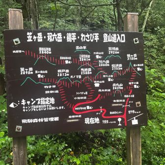 来年、計画を練って必ずリベンジします。