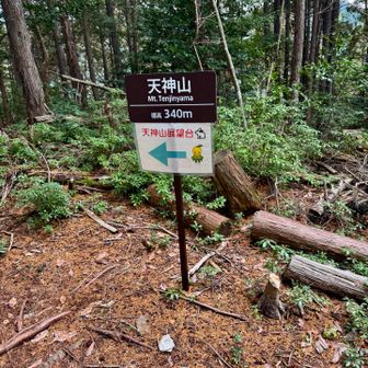 天神山到着　少し先の展望台まで行く