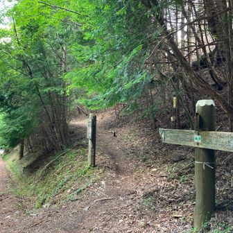 大多賀峠から伊勢神峠へ。
