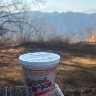 富士山見ながらカップ麺
西日本のロングセラー、金ちゃんヌードル🍜