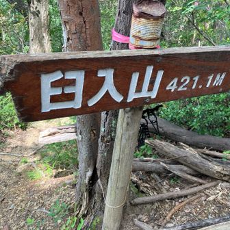 本日の最高峰。ここからの下山が疲れているときつい😓　一歩一歩注意深くね。