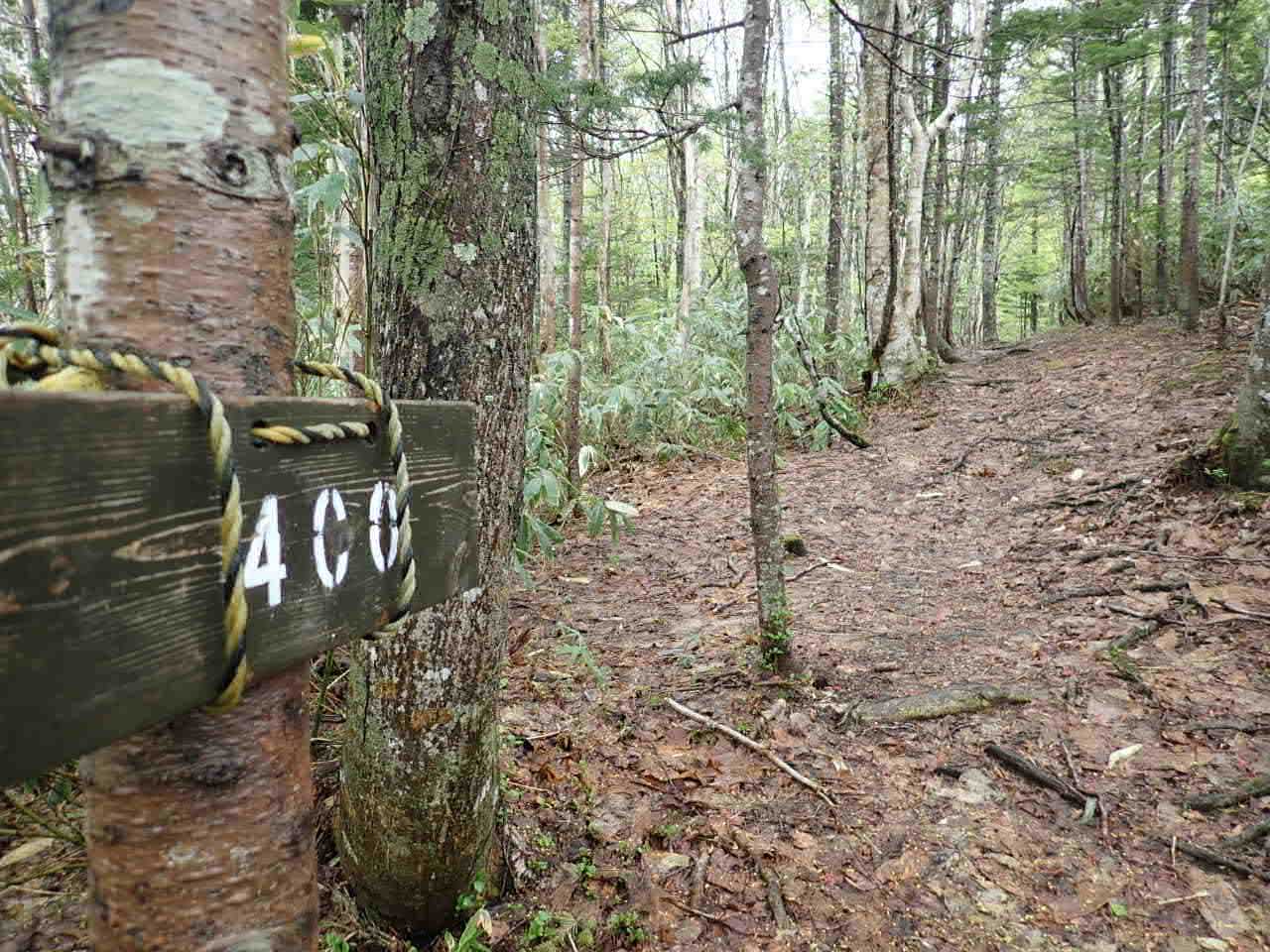 400という標識、最初標高だと思っていましたが、登山口からの距離でした。