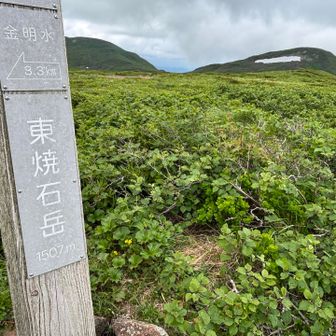 山頂と焼石岳