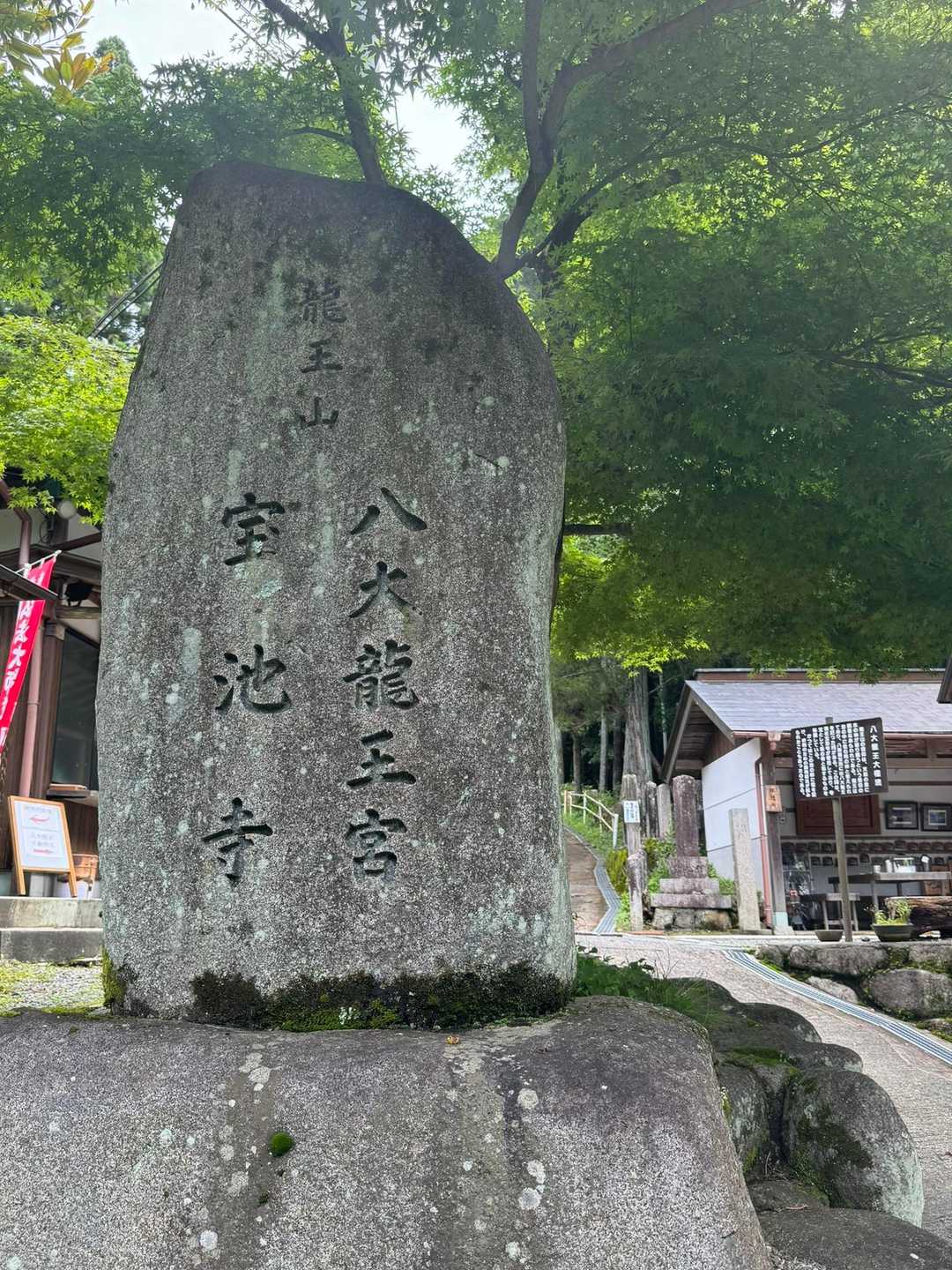 忍頂寺バス停-宝池寺-竜王山 往復コースの写真