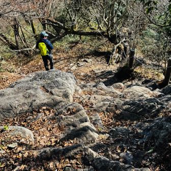さて、次の展望所へ向かって下りです。