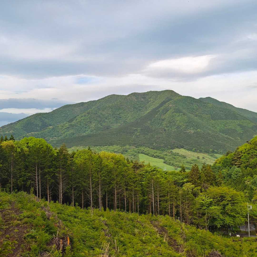子持山 往復コースの写真