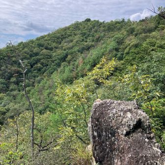 西山の山頂が、奥に見える。
随分下りてきたことがわかります。