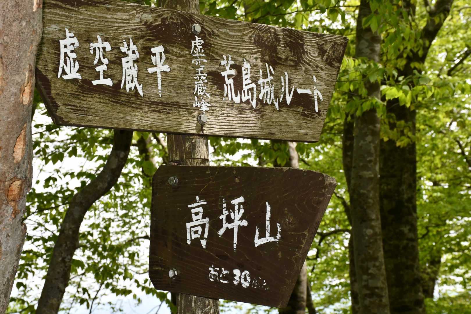 ここから 山頂まで のんき🚶‍♀️