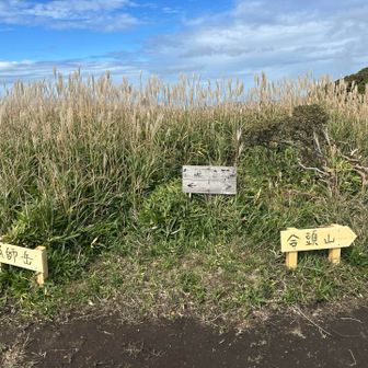 10分ほど登ったところ　分岐　go to 合頭山❗️
