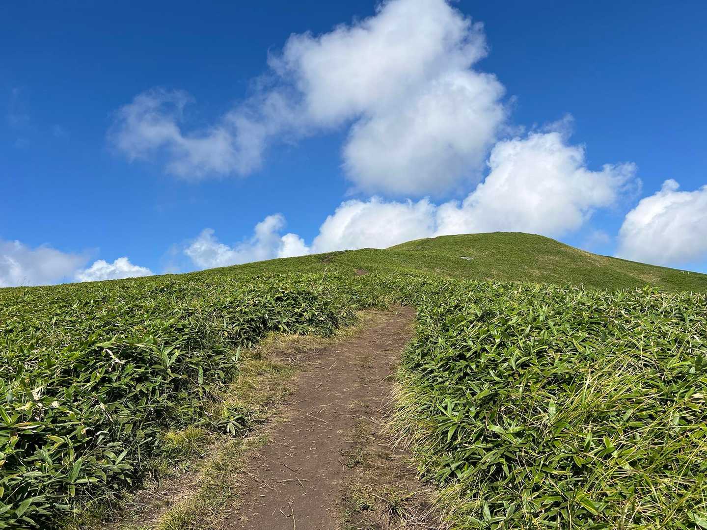 登山道と素敵な青空