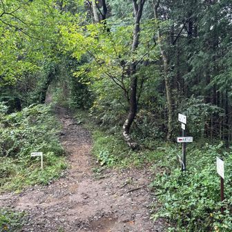 真っ直ぐ、焼森山へ🏔️
下山の方が足に負荷が掛かる💦
右足から着地すると張り感とやや痛みが出る⚡️

左足から着地を意識して。