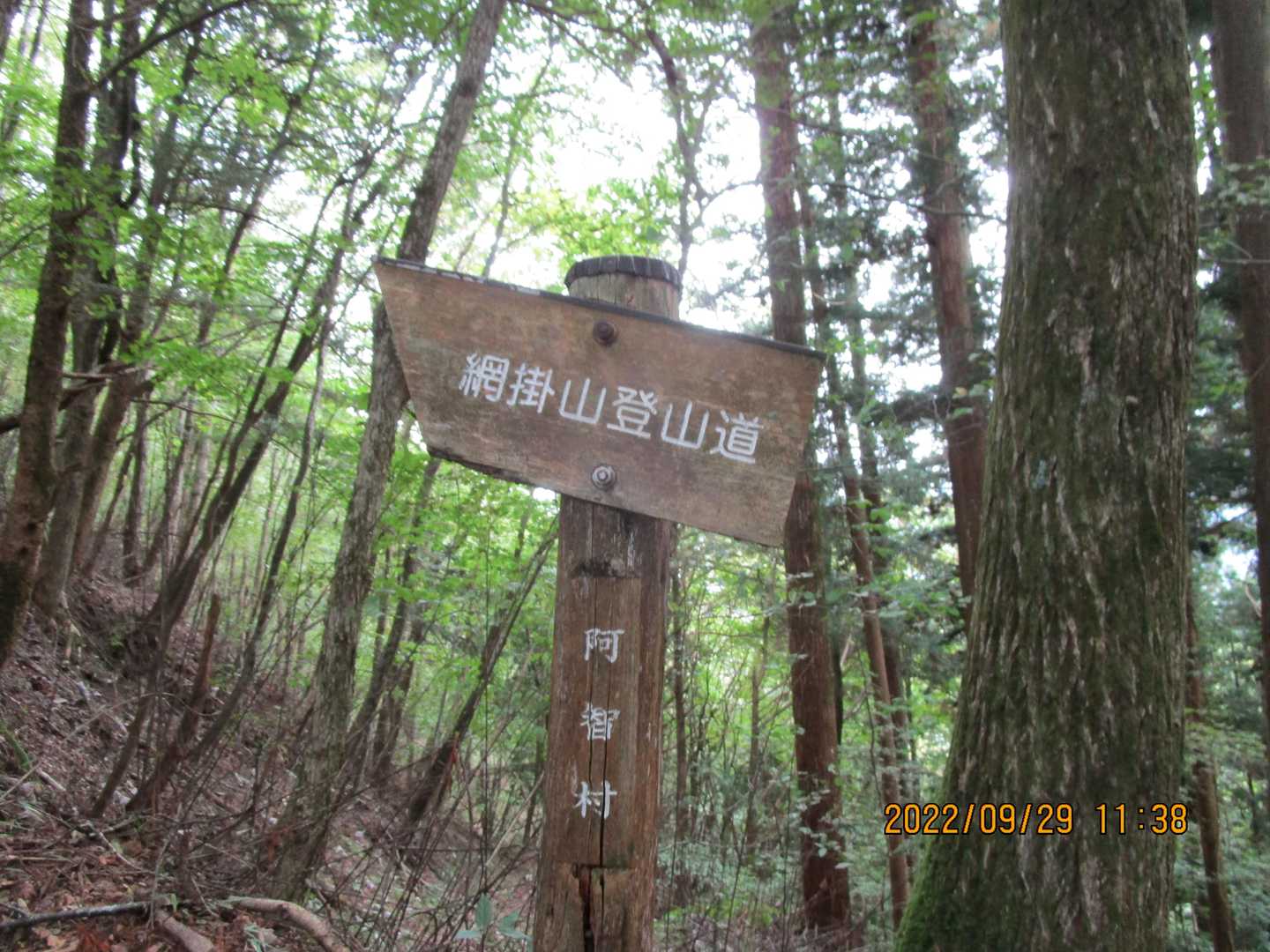 分岐点。案内に従い進む