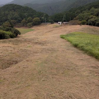 草スキー場