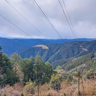 開けたところです。浜松市の街まで見えました。
この写真ですが、1月11日11時11分と、1が並んでいます😆。