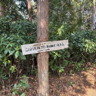 ココから先は「奥」沼津アルプスというそうな。