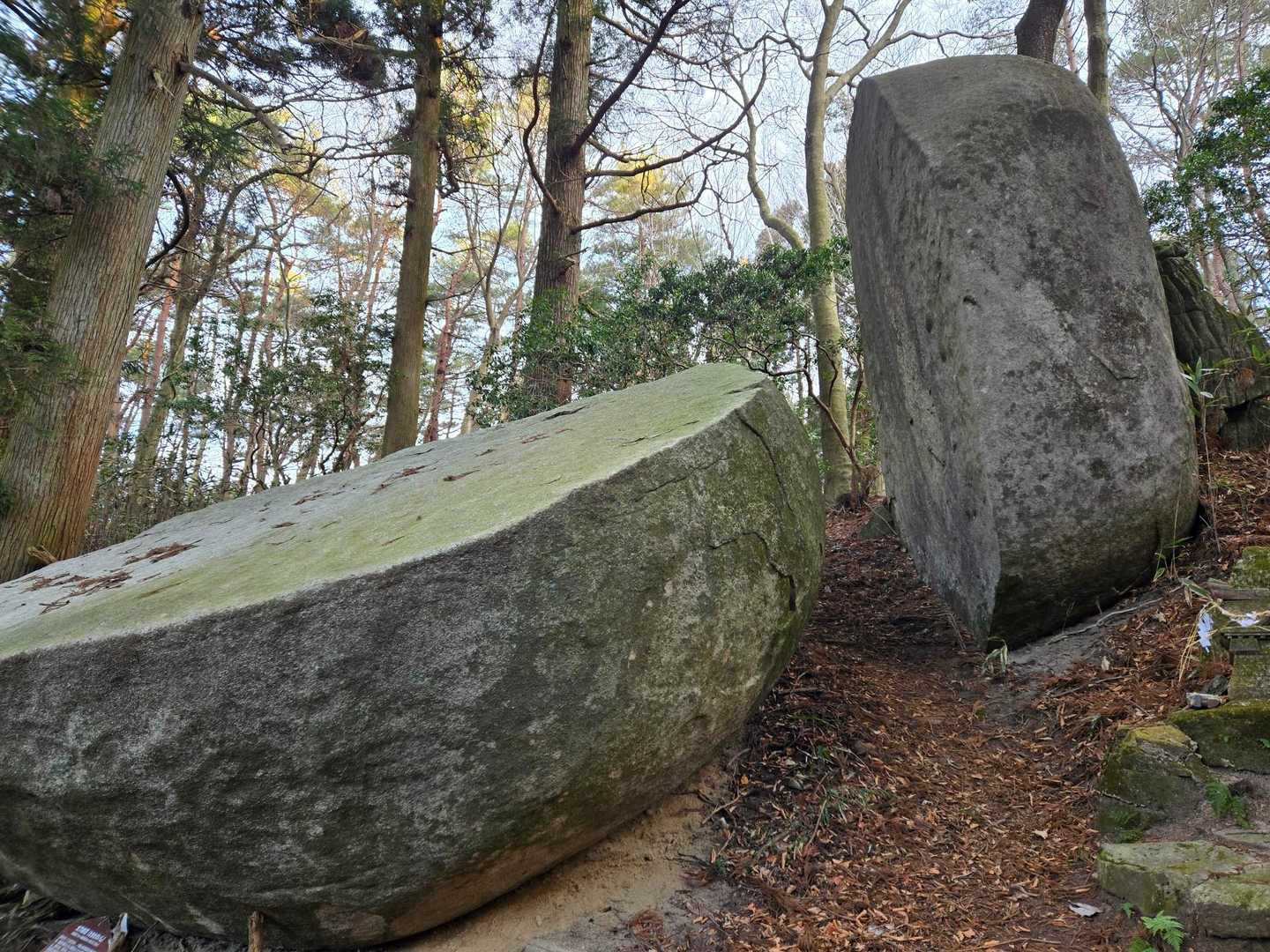 こんな綺麗に割れてることある??
不思議…🤔