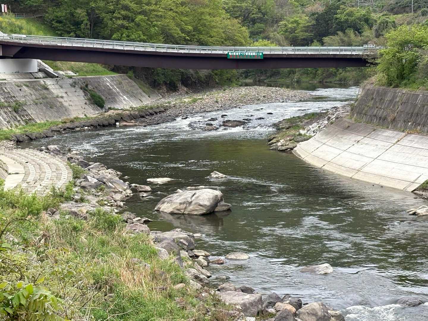 川の中に亀岩