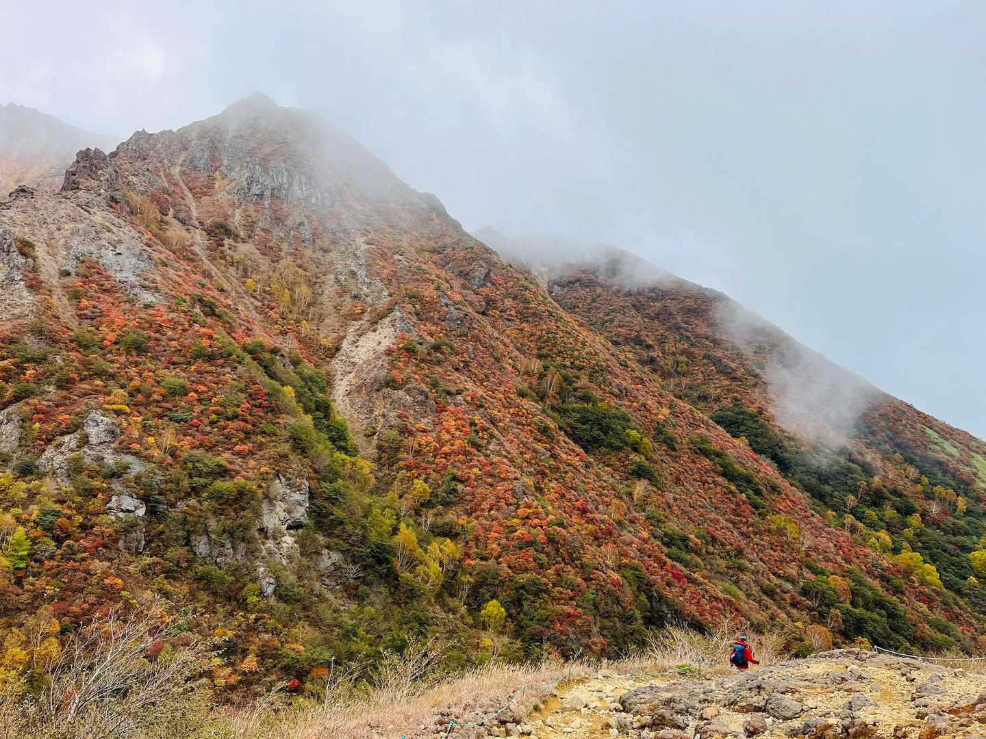 峠の茶屋登山口-朝日の肩-朝日岳 往復コースの写真