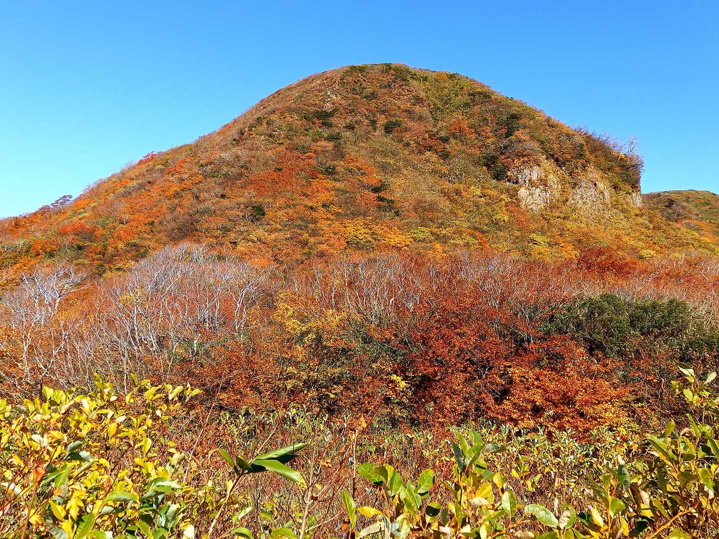焼石岳 往復コースの写真