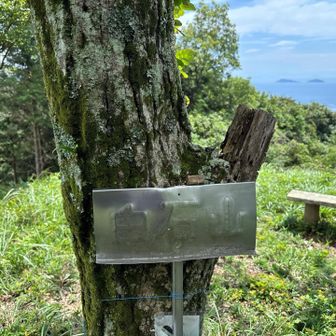 地元の臼杵山岳会作成の山頂標識