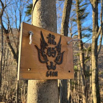 カッコいい龍駒山の山名板もありました✨