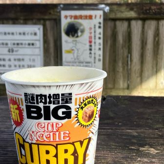 笠の丸の東屋で頂きメシ。
謎肉増量ＢＩＧカレーヌードル。