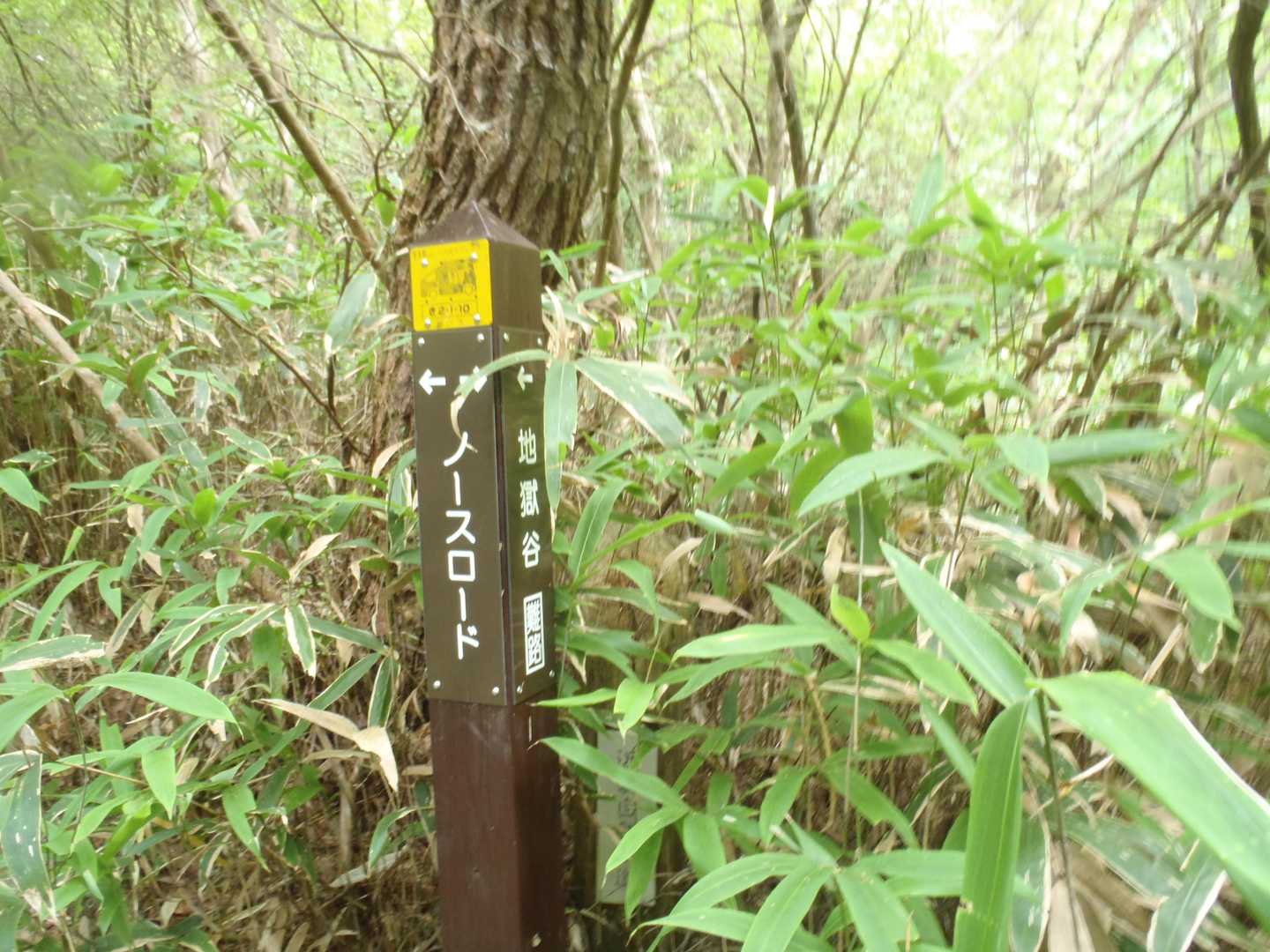ノースロードへ