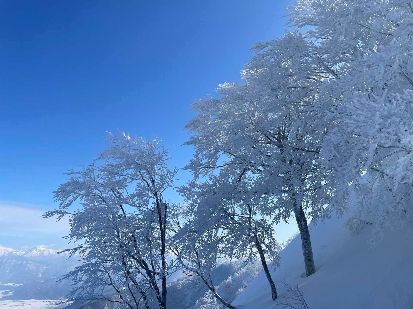 やはりホワイト🤍にブルー💙は映えますなー

いや、けど・・・脚攣りそう😂