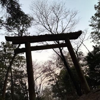 今日も始まるよ😊