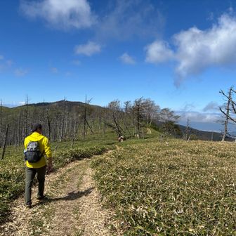 のんびり、まったり山歩！
こんな山行もいいですねー⭕️