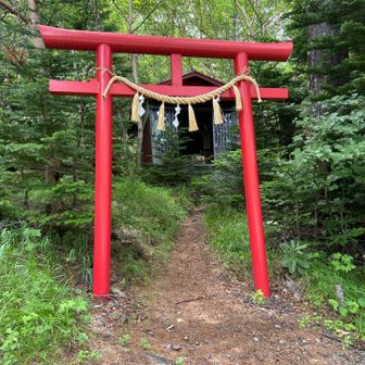 稲荷神社　ここからまた山道に入り