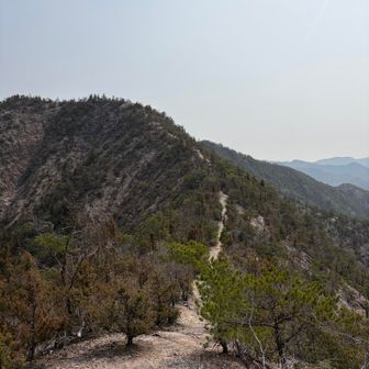 アルプスだけに縦走感あり