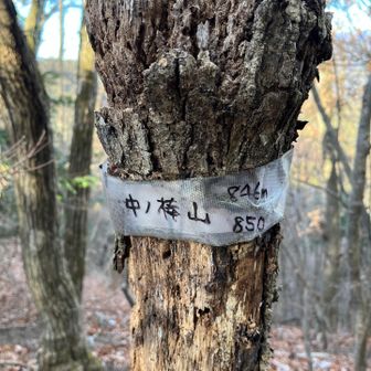 ささやかな頂上案内。